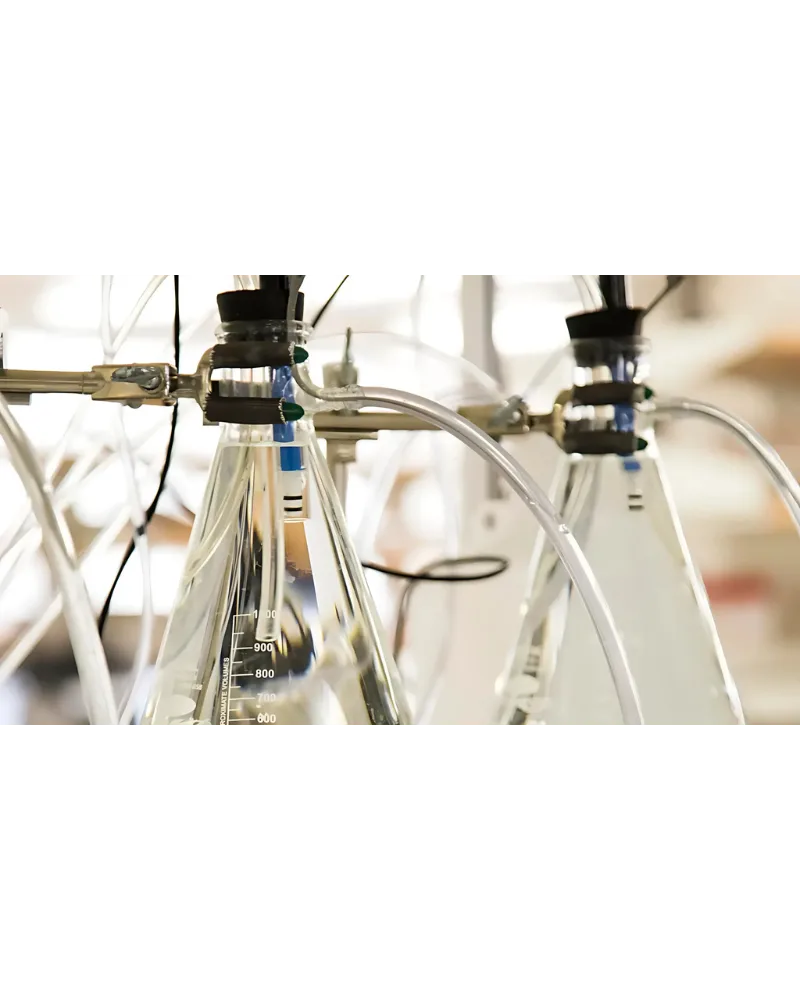 Safe and Sustainable Fluid Handling with Diaphragm Pump Technology